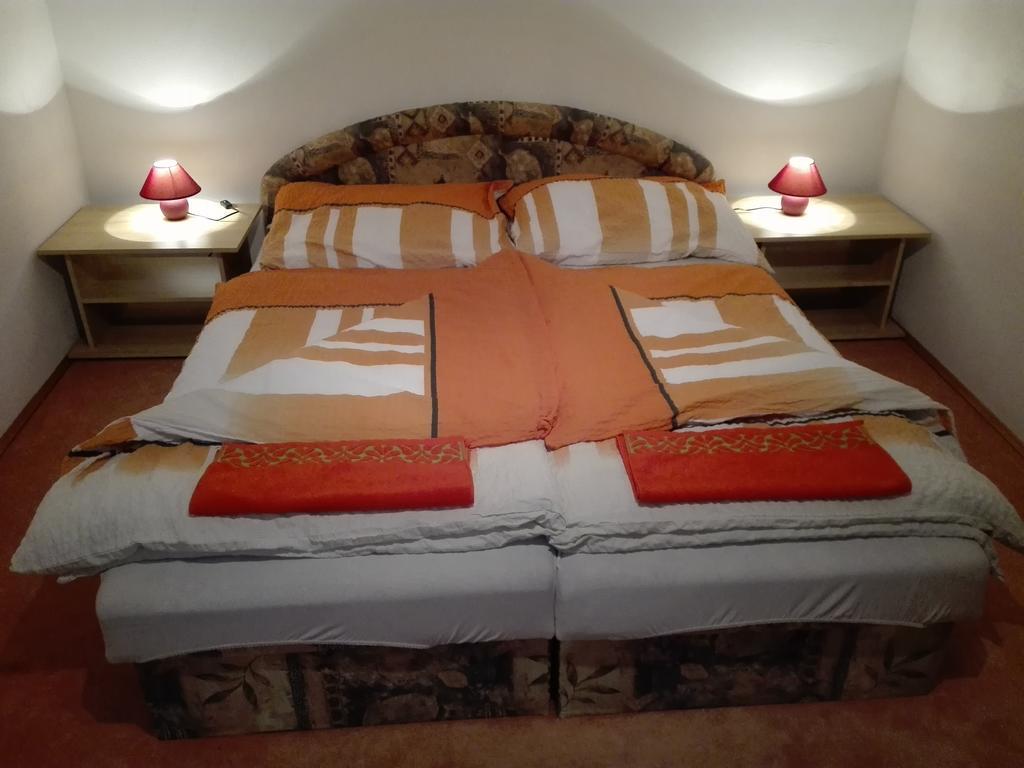 Apartment Veronika Přední Výtoň Værelse billede