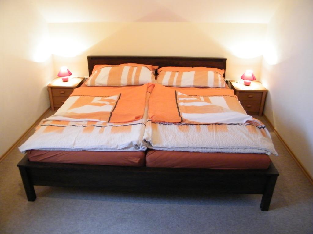 Apartment Veronika Přední Výtoň Værelse billede